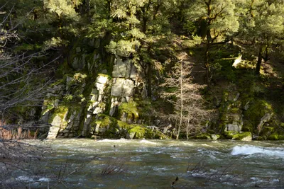 DSC_0936 (Large).JPG